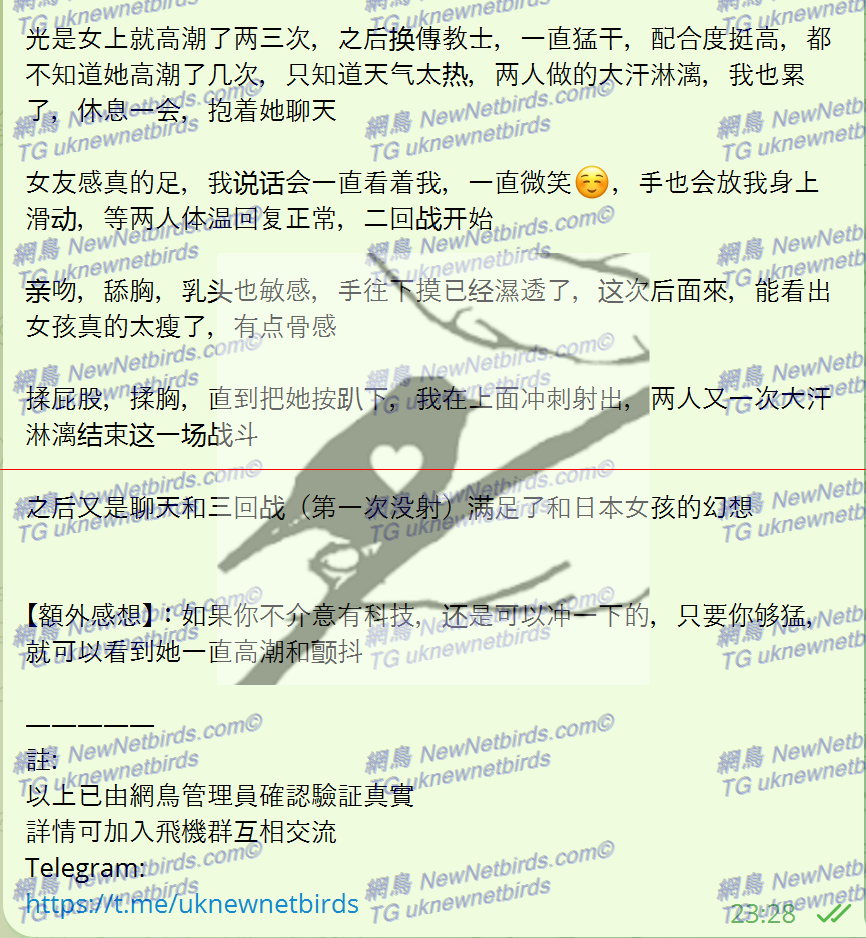 戰號 325 3.png